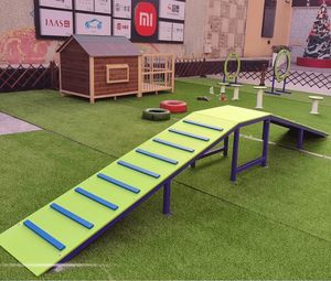 Perlengkapan latihan hewan peliharaan warna-warni yang mudah dibersihkan Platform untuk pelatihan kelincahan anjing dan jualan hewan peliharaan - Product Image 1