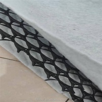 Géogrille de drainage composite 3D installée dans les décharges, géomembrane et géotextile pour le gaz, épaisseur du noyau 5 mm