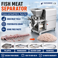 Séparateur Industriel Chair-Arêtes Acier Inoxydable 304 Rendement Élevé en Chair pour Tilapia Production de Pâte de Poisson