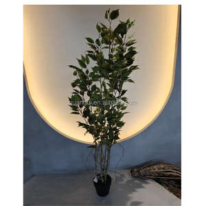 Vente en gros Offre Spéciale arbre de <span class=keywords><strong>Ficus</strong></span> artificiel bonsaï vert <span class=keywords><strong>Ficus</strong></span> arbre d'intérieur plantes artificielles <span class=keywords><strong>Ficus</strong></span> Banyan arbre artificiel à vendre - Product Image 4