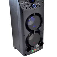 TD0655 Bosinas Amplificada Équipement Sonore/Amplificateurs Grandes Enceintes Karaoké pour Fêtes DJ Extérieures avec 2 Micros sans Fil