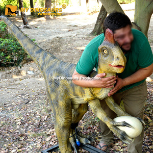 Z MY DINO AD-024 Amusement Park Prehistoric Oviraptor Dinosaur Model for Children - Product Image 5