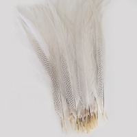 Plumes décoratives en gros à prix abordable, grandes plumes de faisan blanches teintées argentées pour l'artisanat et les festivals