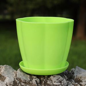 Colorful Square Plastic <b>Succulent</b> Flower Planter <b>Pots</b> Decoration Garden Bulk Packaging for Green Plants - Product Image 4