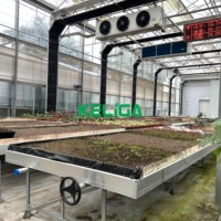 Smart Vanilla Grow Serre à travée unique Serre commerciale occultant la lumière à vendre