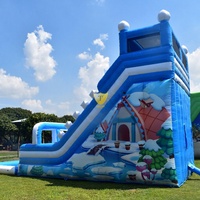 Toboggan aquatique gonflable avec piscine, PVC de qualité commerciale, toboggan géant Tide Wave pour enfants et adultes, équipement de parc aquatique