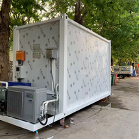 Chambre froide mobile personnalisable Bingfeng OEM, conteneur de 20 pieds, économique et écologique, congélateur walk-in pour la viande