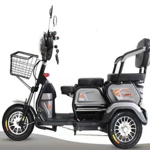 Tricyle Factory Electric Scooter Tricycle Electric Bike 3 Wheels Tricycles Digital 500W - Product Image 5