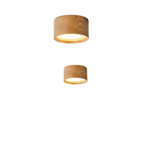 <span class=keywords><strong>Spot</strong></span> lumineux moderne en <span class=keywords><strong>bois</strong></span> pour <span class=keywords><strong>plafond</strong></span>, éclairage simple pour couloir, downlight pour cuisine et salon (montage en surface) - Product Image 2