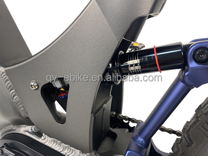 <span class=keywords><strong>QUEEEN</strong></span>/Vollgefedertes Ultra G510 48V750W 1000W Mittelmotor-Hybridfahrrad mit Tiefeinsteiger-Fatbike-Reifen Elektro TDF05Z - Product Image 5