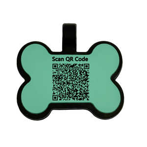 Оптовая продажа, дешевые пользовательские Loge из нержавеющей стали, Пустое имя питомца, специальная силиконовая бирка Xvideo для собак - Product Image 5