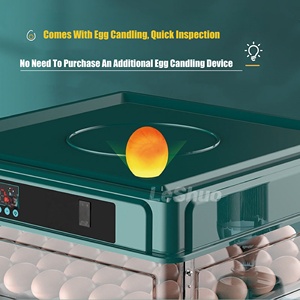 Incubatrice Automatica per Uova di Gallina <span class=keywords><strong>Mini</strong></span> da 6-128 Pezzi con Doppia Alimentazione, Materiale PP, Tasso di Schiusa del 98%, Garanzia di 1 Anno - Product Image 6