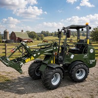 Cargador de Patio Multifuncional Compacto para Uso Doméstico con Motor Importado Potente, Cargador Frontal W1160 en Oferta con Envío Gratis
