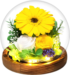 P-1 en gros véritable fleur de rose préservée dans un dôme en verre avec bande de LED cadeaux pour femme petite amie maman femme le jour de la Saint-Valentin - Product Image 2