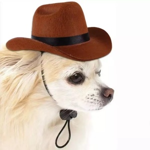 Mini <span class=keywords><strong>chapeau</strong></span> de cowboy pour chiens et chats, <span class=keywords><strong>chapeau</strong></span> western réglable pour animaux de compagnie pour fête d'anniversaire, costume d'Halloween, accessoires photo festifs pour chiots et chats - Product Image 4