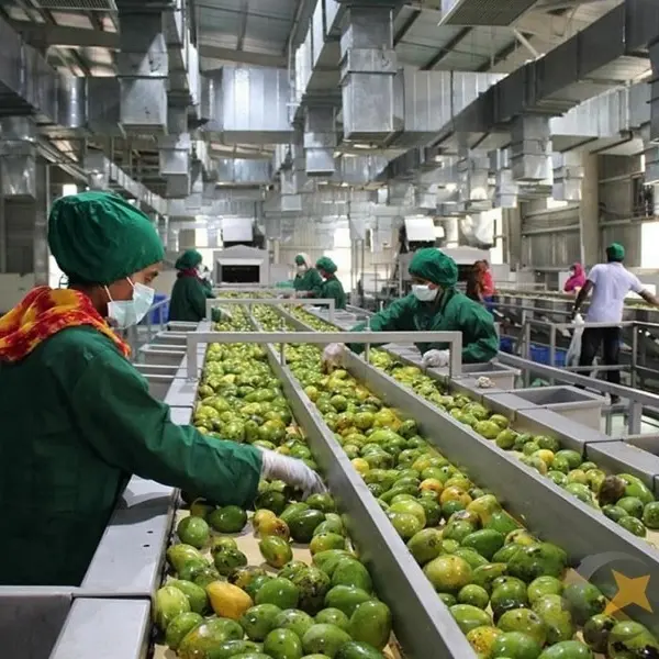 Mesin Pengolah Jus Buah Tanaman Pengolahan Jus Buah Mangga Mesin Pembuat Pasta Selai Oleh Pabrik