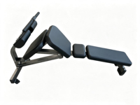 Banc d'hyperextension commercial BH1035 réglable, chaise romaine, équipement de musculation pour abdominaux et dos