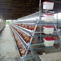 Cage à poules pondeuses de type A, cage à batterie pour poules pondeuses, 96/120/128/160 oiseaux, utilisation en maison, 3/4 niveaux, cage à poules pondeuses pour élevage avicole