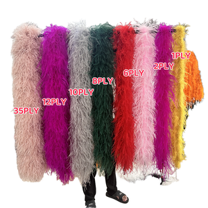 शानदार 8-10 सेमी ऑस्ट्रिक पंख बोए 6 प्लाई रंग और शादी पार्टी की सजावट के लिए प्राकृतिक पैटर्न - Product Image 1