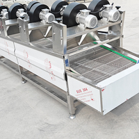 Industriële luchtblaasdroger, transportbandtype ventilatorluchtdroger voor het ontwateren van groenten, fruit en snacks in zakjes