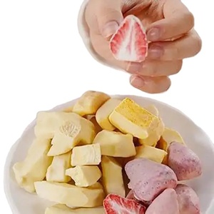 Mangues lyophilisées croustillantes multi-saveurs en gros – Fourniture en vrac <span class=keywords><strong>de</strong></span> <span class=keywords><strong>fruits</strong></span> tropicaux FD <span class=keywords><strong>enrobés</strong></span> <span class=keywords><strong>de</strong></span> matcha, yaourt et <span class=keywords><strong>chocolat</strong></span> - Product Image 5