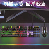 Clavier et souris de jeu 2026, clavier rétroéclairé personnalisé, clavier de bureau professionnel T6 MILANG