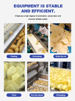 Industriële volautomatische productielijn voor aardappelchips, grote capaciteit, apparatuur voor het verwerken van chips voor fabrieken