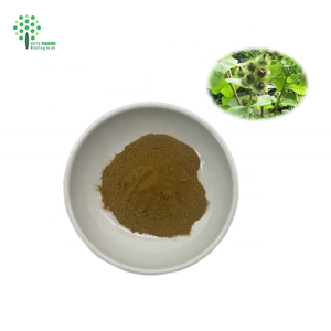 Chiết xuất rễ ngưu bàng Bột ngưu bàng Arctiin - Product Image 2