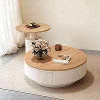 Ensemble de tables basses rondes modernes en métal avec rangement, design décoratif et portable pour salon et mobilier de maison