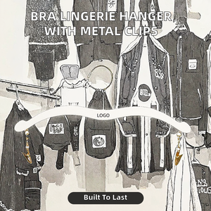 Gantungan Bra Lingerie Multifungsi Modern Desain Baru Ramah Lingkungan dengan Jepitan Logam Plastik untuk Pakaian Dalam, Sepatu, Bikini - Product Image 2