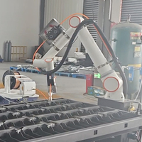 Brazo Robótico Industrial Colaborativo de 6 Ejes Automático FR5 FR10, Robot Colaborativo para Soldadura MIG, Brazo Motorizado de Aluminio y Acero