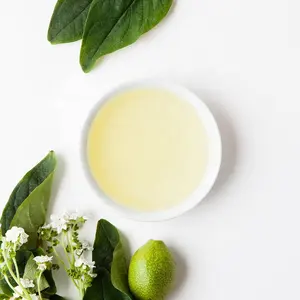 Nuevo Producto: Aceite de Semilla de Kukui 100% Puro de <span class=keywords><strong>Leven</strong></span> Rose, 100% Natural, Prensado en Frío, Sin Refinar - Product Image 1