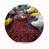 Frambuesas Congeladas XMSD OEM Mezcladas de Múltiples Variedades con Soporte de Muestras para Importadores y Fabricantes de Alimentos