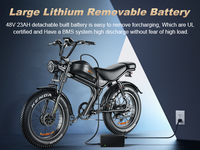 Dropshipping direct d'usine EMOKO 20 pouces vélo électrique à double moteur gros pneu 48V vélo électrique à affichage LED à longue portée