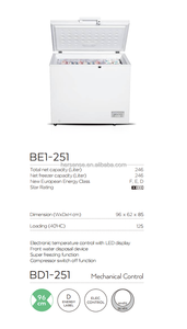 Congelador Horizontal BE251 de Gran Capacidad con Cesta Extraíble para Uso Doméstico, en Garajes y Comercial, Diseño de Tapa de Apertura Fácil - Product Image 4