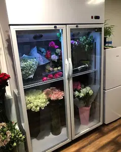 フレッシュキーピングショーケースフリーザー業務用冷蔵庫ディスプレイ冷却フラワーチラーフレッシュフラワー-冷蔵庫フローラルクーラー