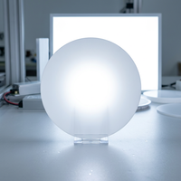 Couverture de lumière LED blanche de 1,3 mm en polycarbonate, diffuseur opale