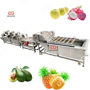 Gelgoog 500 kg/giờ thương mại chôm chôm Máy làm sạch nhà máy Rau Vôi Trái cây bàn chải máy giặt