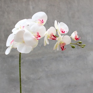 2024 gran oferta Flor <span class=keywords><strong>de</strong></span> orquídeas <span class=keywords><strong>de</strong></span> imitación para centros <span class=keywords><strong>de</strong></span> mesa <span class=keywords><strong>de</strong></span> boda <span class=keywords><strong>seda</strong></span> Artificial tacto Real mariposa orquídea <span class=keywords><strong>polilla</strong></span> - Product Image 3