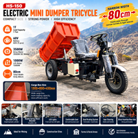 1-Tonnen-Elektro-Mini-Dumper mit 3500W-Motor für Untertagebau in Santiago, Chile