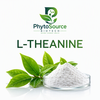 Poudre de L-Théanine 99% Pure, Acide Aminé, Extrait de Thé Vert, Matière Première, Qualité Alimentaire, Conditionnement en Bouteille