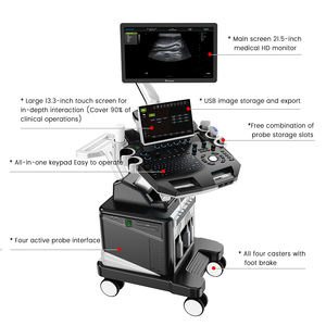 Échographe Doppler numérique sur chariot <span class=keywords><strong>pour</strong></span> <span class=keywords><strong>animaux</strong></span> (bovins, chevaux) à prix abordable <span class=keywords><strong>pour</strong></span> cliniques vétérinaires - Product Image 3