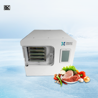 Machine de lyophilisateur à petite échelle à usage domestique 4kg 6kg 8kg 10kg 15kg Machine de lyophilisateur sous vide de viande fruits légumes pour la maison