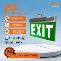 Panneau de signalisation d'urgence mural auto-éclairant IP30 4W LED avec éclairage de sortie et d'urgence