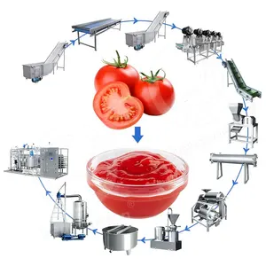 La sauce tomate entièrement automatique d'OCEAN font la petite ligne de production commerciale de purée de tomate de machine