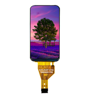 Écran d'affichage TFT 1,47 pouce SPI 8 broches résolution 172*320 avec circuit intégré ST7789 pour mini-caméra