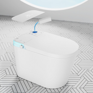 Автоматический Цельный унитаз, роскошный напольный унитаз - Product Image 5