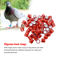 QA équipement d'élevage de volaille 8mm anneau d'oiseaux en aluminium anneau de jambe de Pigeon pour poussins de ferme de poulet perroquet oiseaux de caille