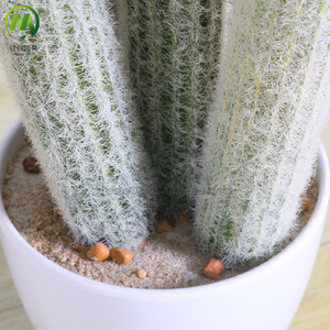 Plantas Artificiales, Cactus Bonsái, Decoración, Plantas Suculentas, Cactus en Oferta, Planta Artificial con Maceta para Hogar y Oficina - Product Image 5