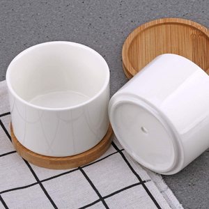 Pot Bunga Silinder Berlapis Kaca untuk Sukulen dengan Bambu Mini 3,15 Inci Gaya Sederhana Putih Kustomisasi Keramik Kontemporer - Product Image 6